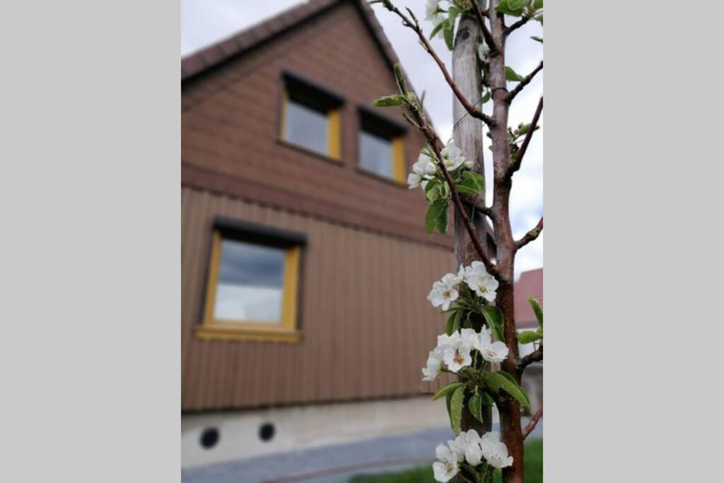 艾波英罗德Harzhaus Ida别墅 外观 照片